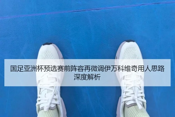 国足亚洲杯预选赛前阵容再微调伊万科维奇用人思路深度解析